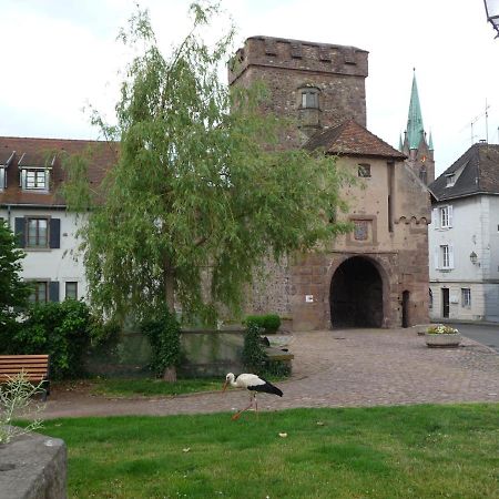 Appartement Sur La Route Des Vins D'Alsace Cernay  Exterior foto