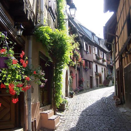 Appartement Sur La Route Des Vins D'Alsace Cernay  Exterior foto