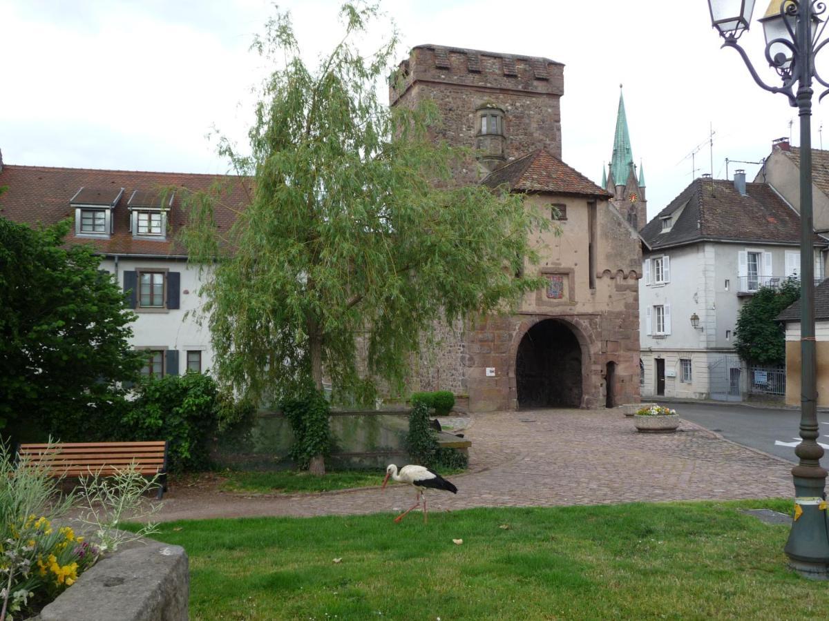 Appartement Sur La Route Des Vins D'Alsace Cernay  Exterior foto