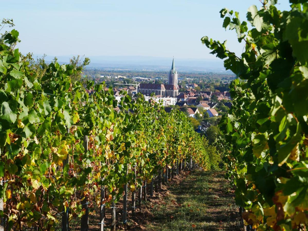 Appartement Sur La Route Des Vins D'Alsace Cernay  Exterior foto