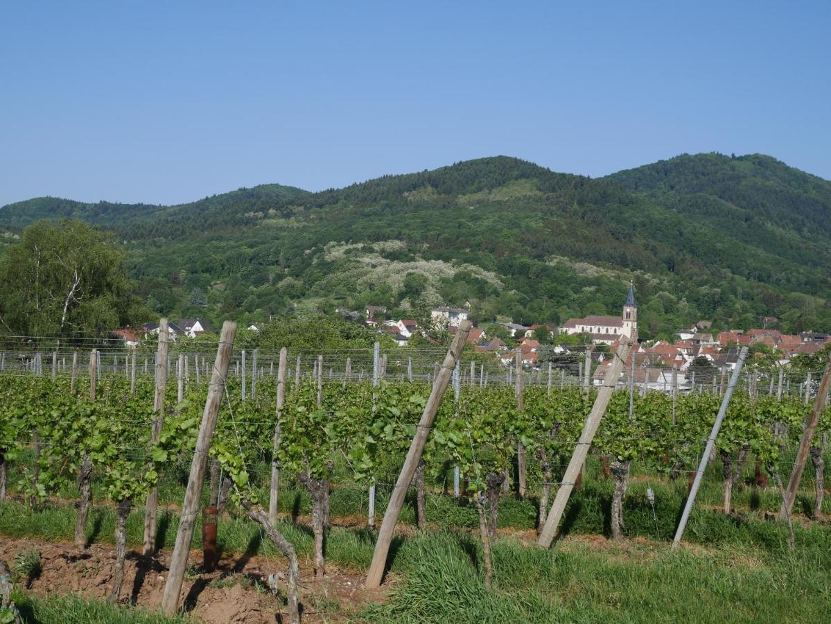 Appartement Sur La Route Des Vins D'Alsace Cernay  Exterior foto