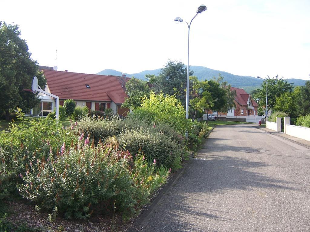 Appartement Sur La Route Des Vins D'Alsace Cernay  Exterior foto