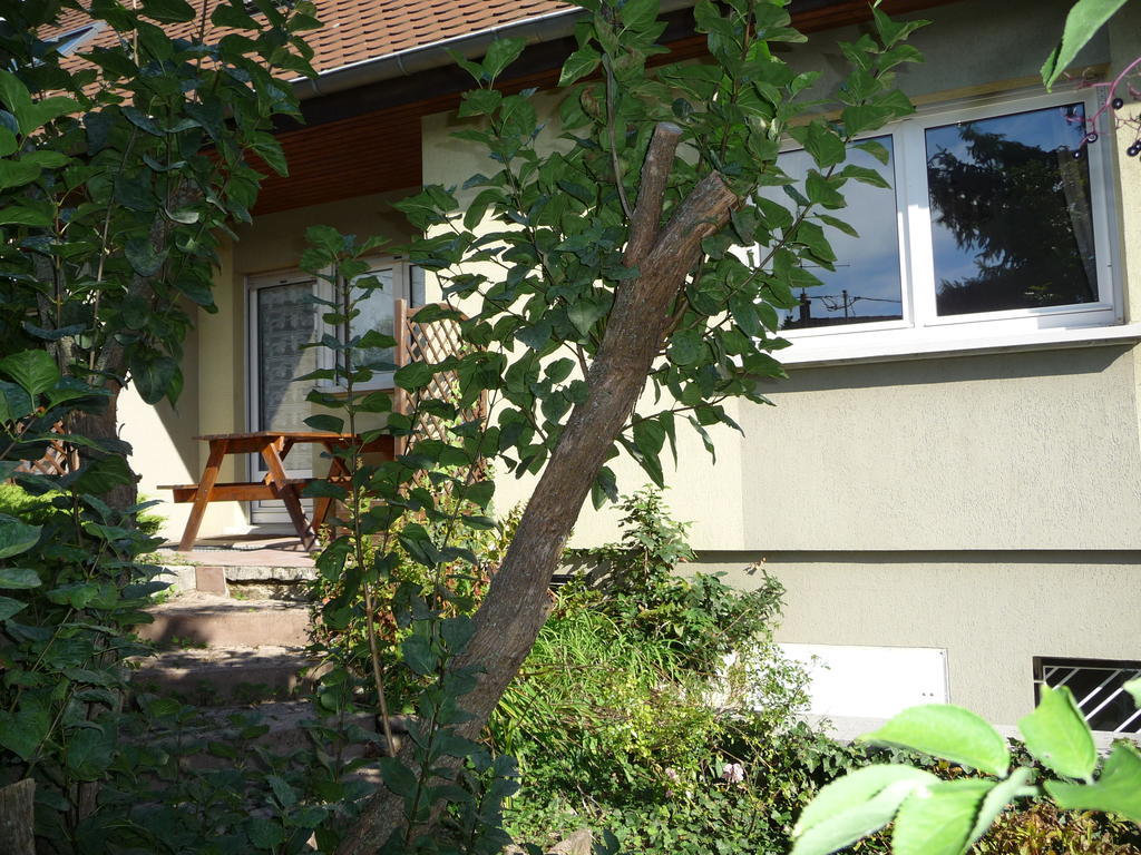 Appartement Sur La Route Des Vins D'Alsace Cernay  Exterior foto